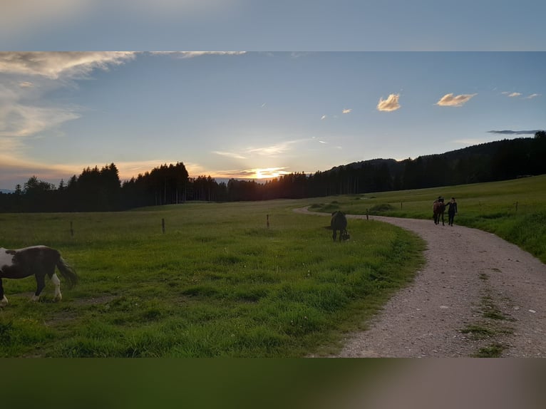 Einstellplatz in wunderschöner Lage