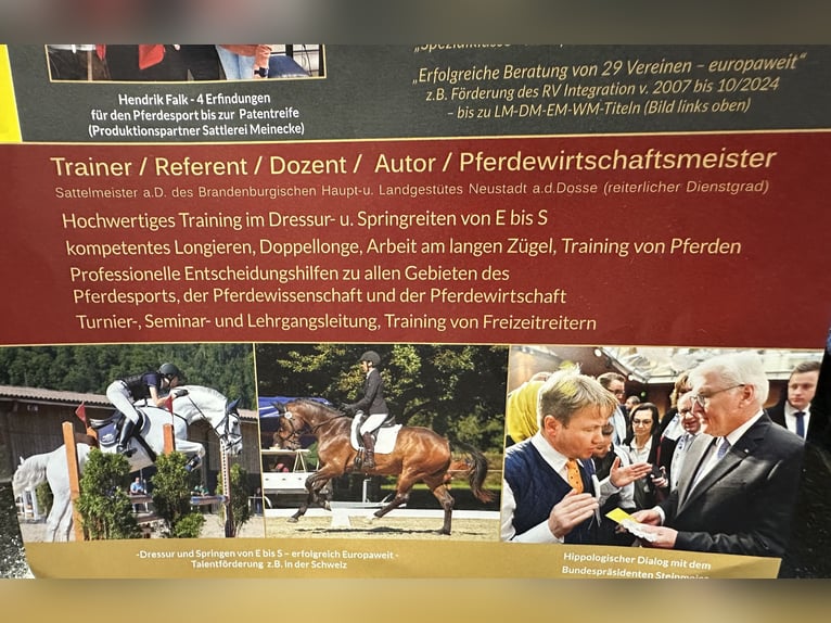 Exklusive Reitanlage, 1h südlich von Berlin, Pensionsstall & Reitstall, Aufzucht