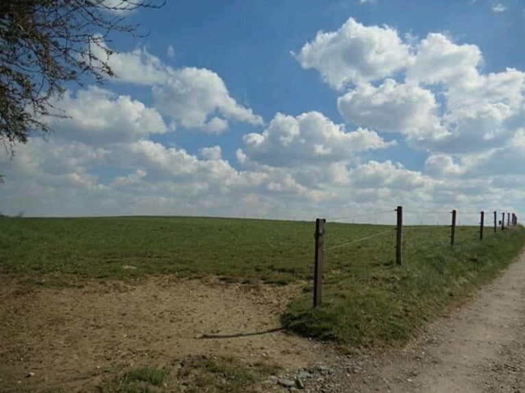 Gut Schnuck hat noch Paddock Boxen frei 