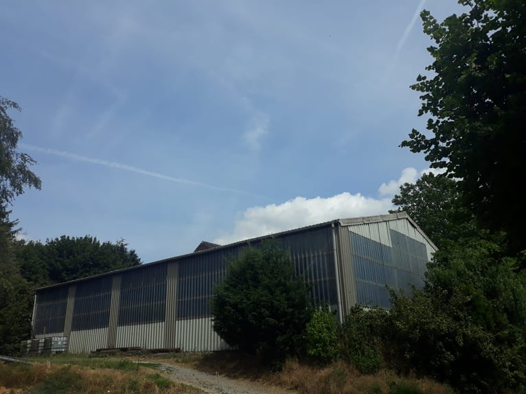 Gut Schnuck hat noch Paddock Boxen frei 