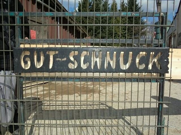 Gut Schnuck hat noch Paddock Boxen frei 