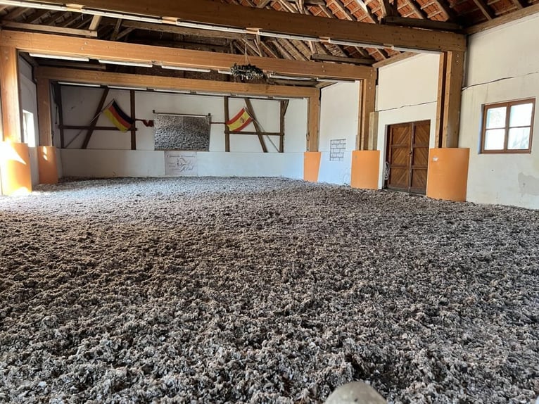 harmonischer Freizeitstall hat Plätze frei aktuell auch einen im Offenstall 