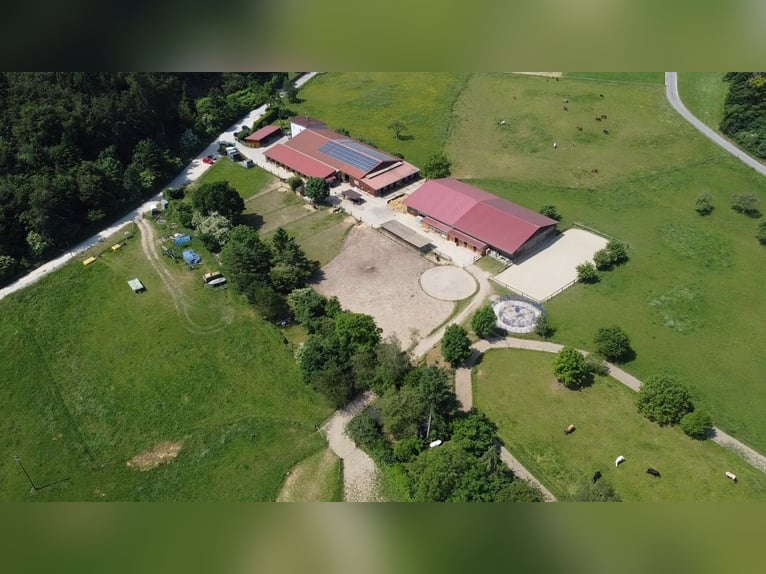 Paddock, Außen und Innenbox frei Paddock, Außen und Innenbox frei