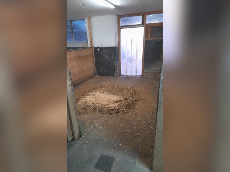 Paddockbox in wunderschöner Lage