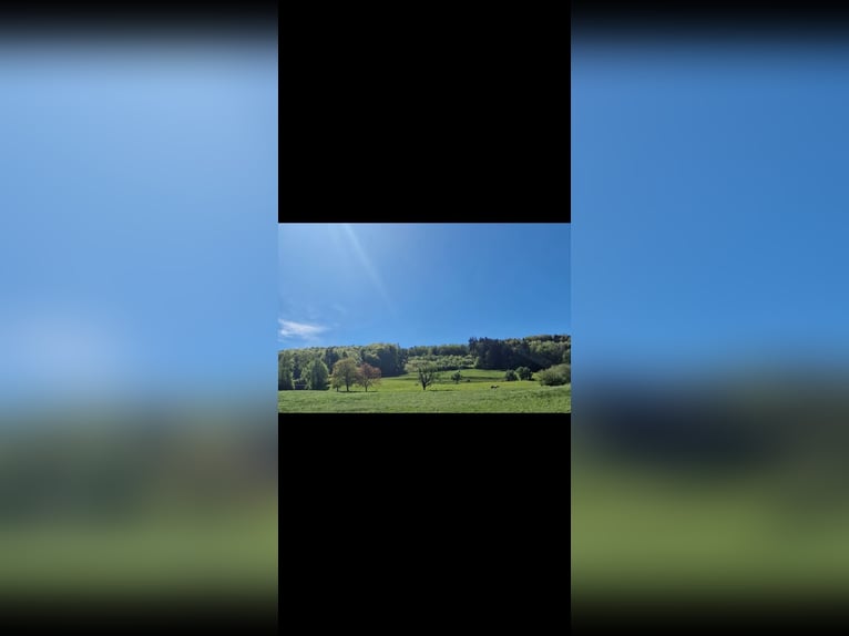 Petite communauté de stalles