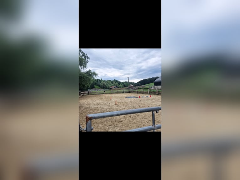 Petite communauté de stalles