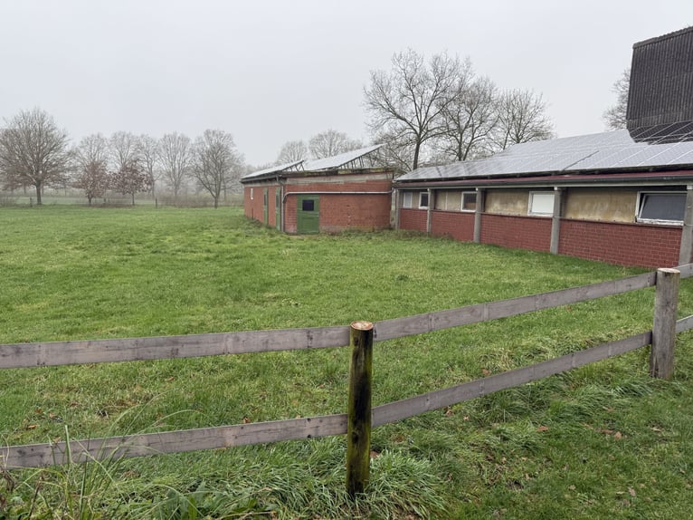 Rentnerplatz, Pony- Pferdebox, Einstellplatz, Stutenstall