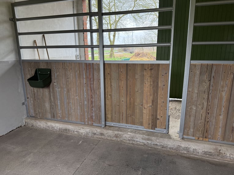 Rentnerplatz, Pony- Pferdebox, Einstellplatz, Stutenstall