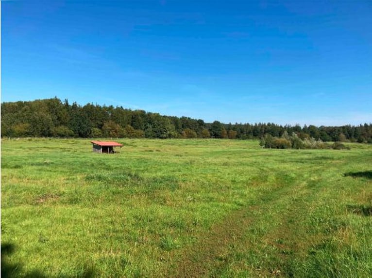 XXL Paddockboxen in Top Lage / Ostholstein