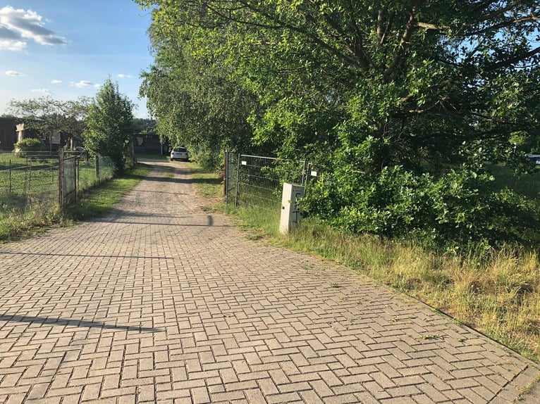 4 places de box disponibles