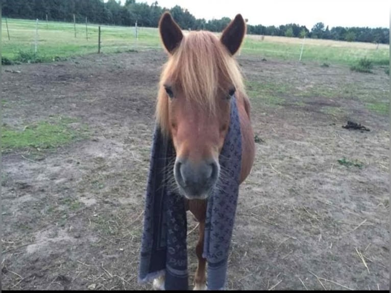 4 places de box disponibles