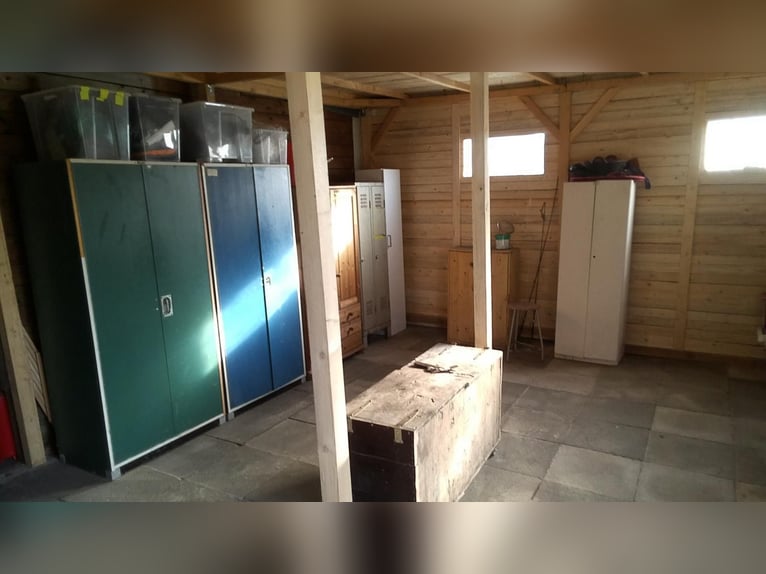 4 places de box disponibles