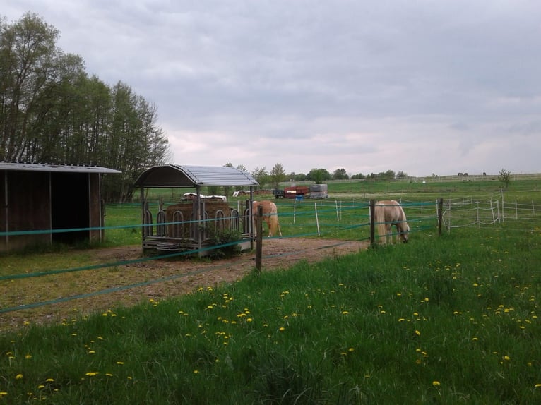 Ahnatal à partir de la saison 2026