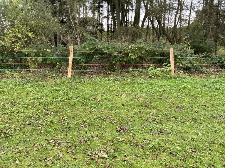 Pension près  Pension près