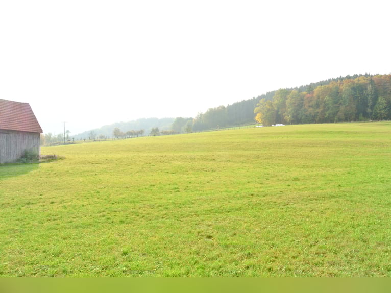 Stalltrakt zu verpachten!