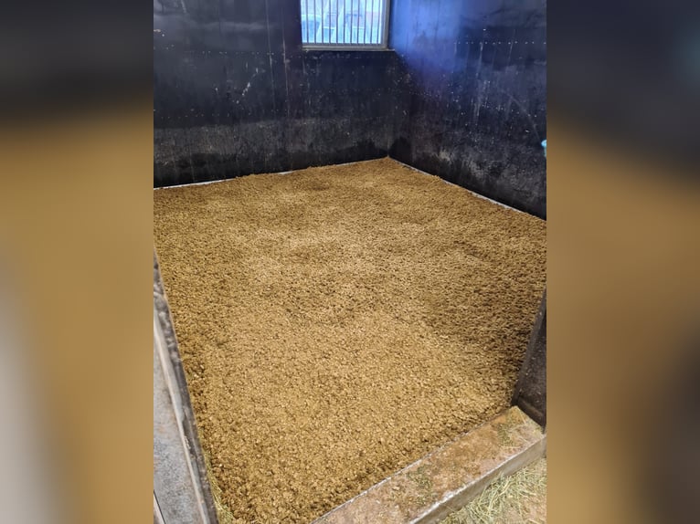 Pellets de paille régionaux, granulés pour litière, copeaux de paille, prémontés, granulés structuré