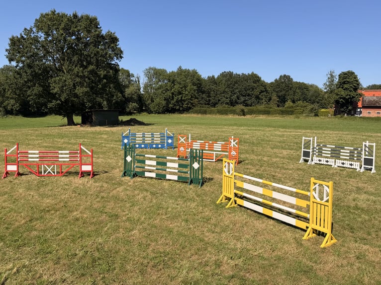 Parcours de saut d'obstacles, supports de saut, oxer, barres d'obstacles, tapis, et bien plus encore