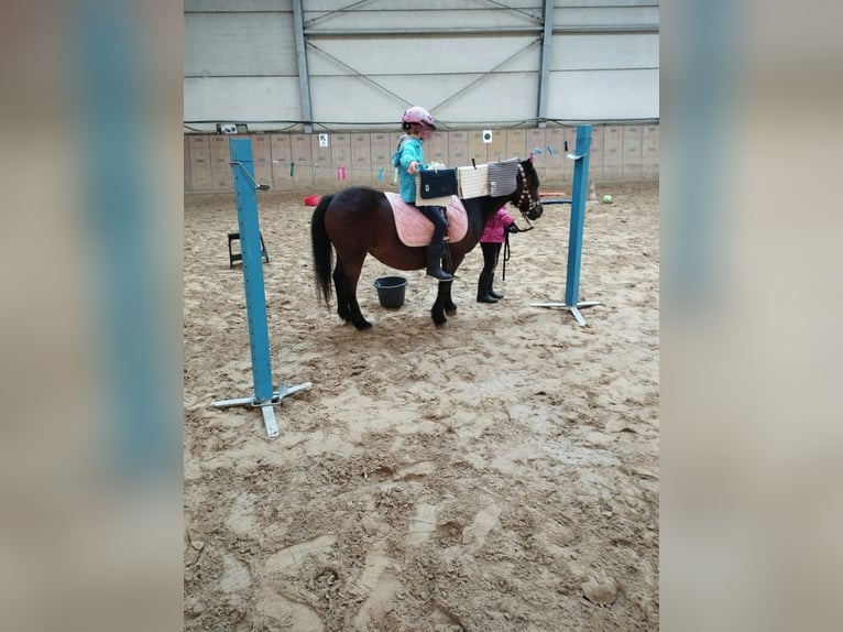 Anniversaire d'enfant au centre équestre