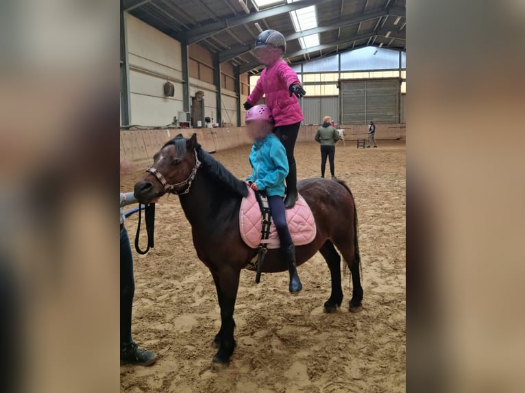 Anniversaire d'enfant au centre équestre