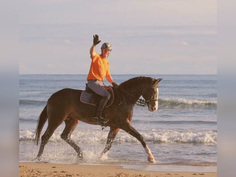 Apprendre à monter à cheval au plus haut niveau – là où d’autres passent leurs vacances