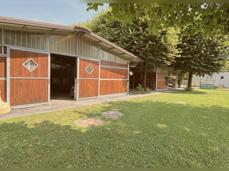 Apprenez à monter à cheval au plus haut niveau – là où d'autres passent leurs vacances.