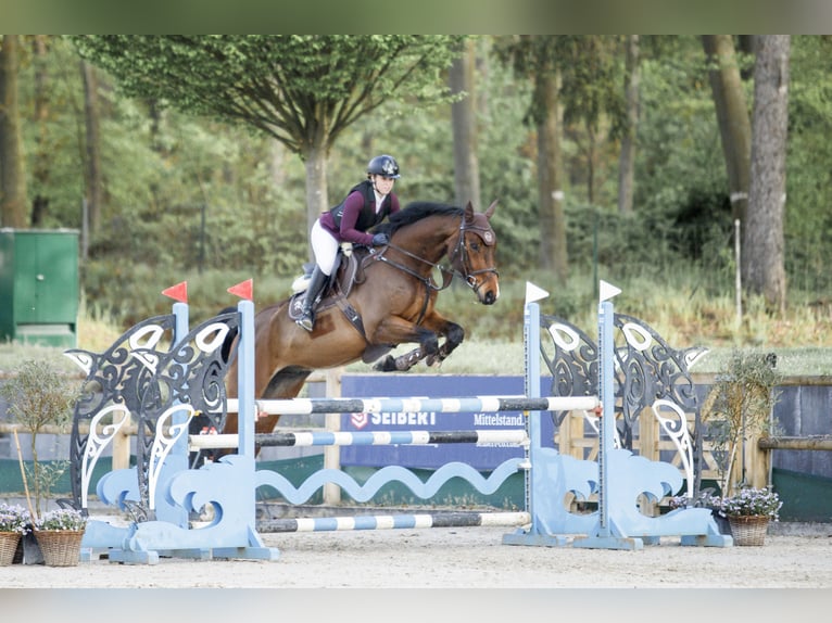 Cours de saut d'obstacles – de nouvelles dates disponibles dès maintenant !