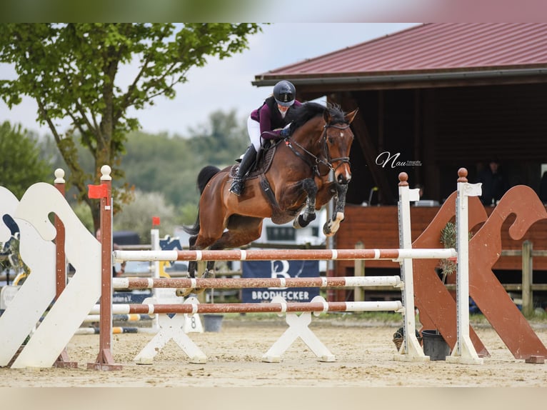 Cours de saut d'obstacles – de nouvelles dates disponibles dès maintenant !