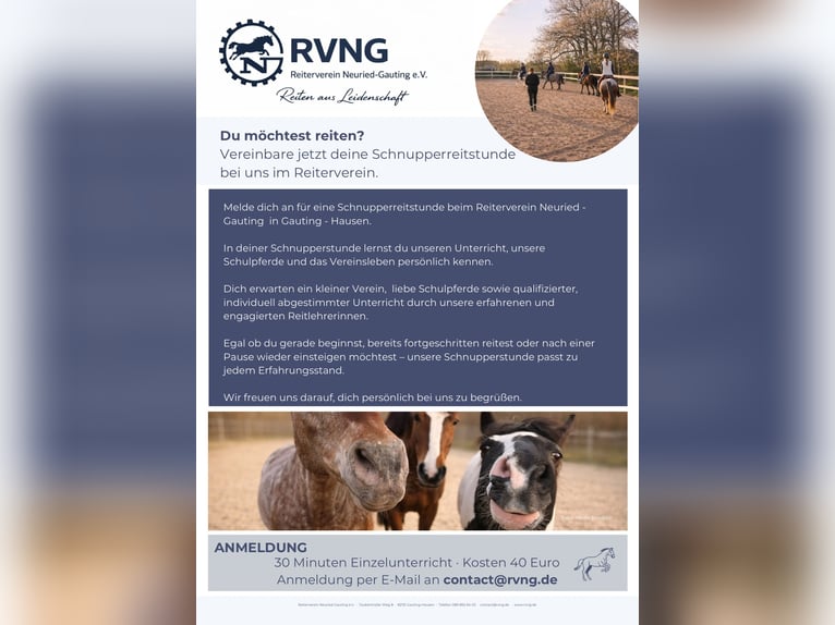 Cours d'équitation au sein de l'Association équestre Neuried-Gauting e. V.