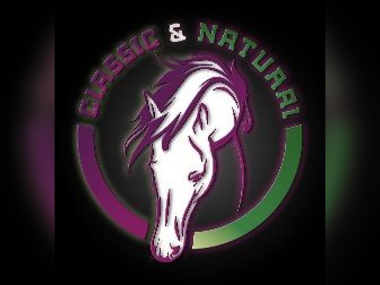 Entraînement personnalisé pour chevaux, ostéopathie équine, TGT, OsteoConceptCoach, NRW