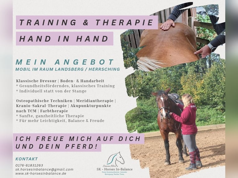 mobiler Reitunterricht Kreis Landsberg