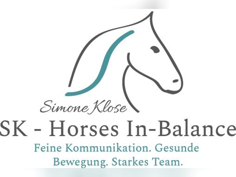 mobiler Reitunterricht Kreis Landsberg