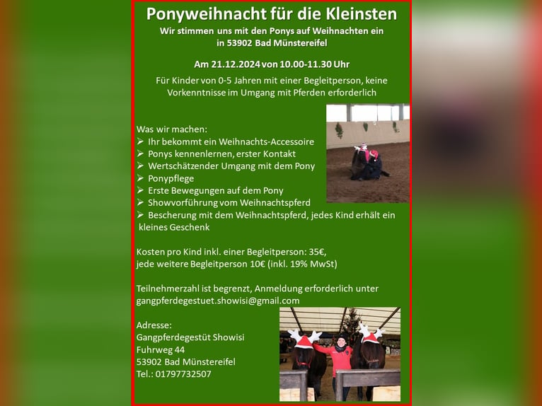 Ponyweihnacht für Kinder von 5 bis 9 Jahre