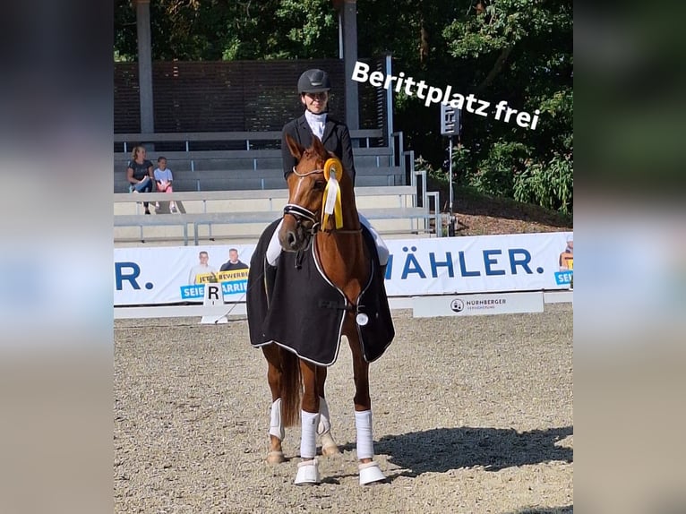 Berittplatz Dressur
