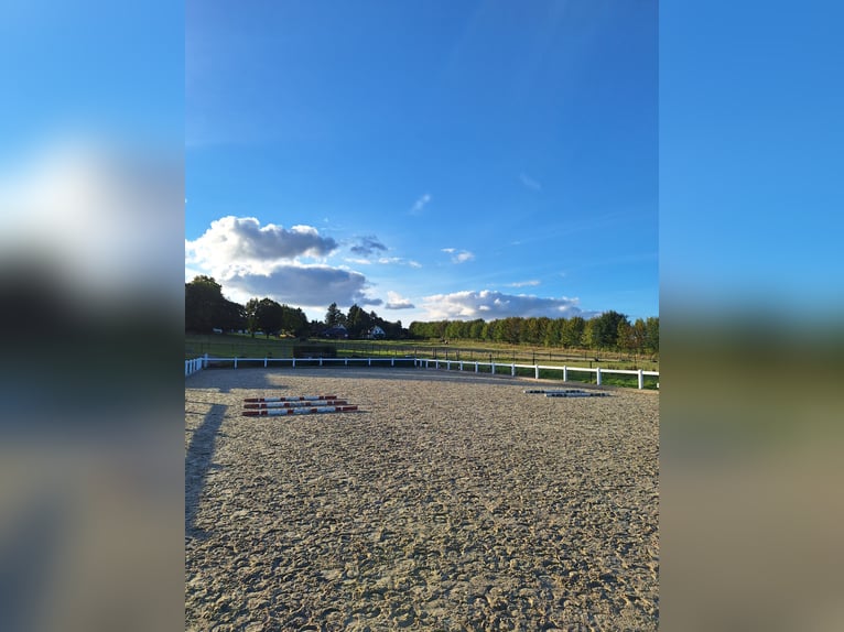 Berittplatz im Süden von Hamburg zu vergeben 