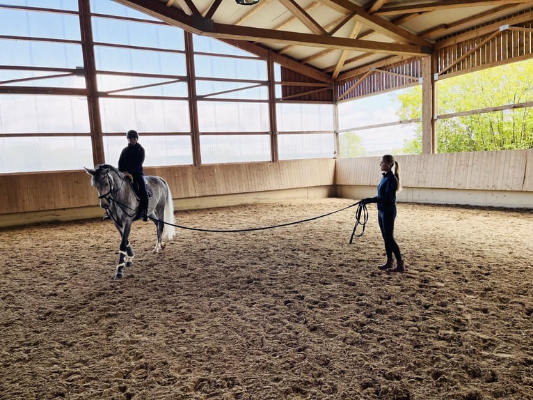 Cours d'équitation & débourrage