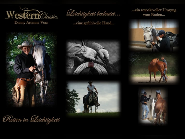 Entraînement et cours d'équitation selon la méthode classique-californienne traditionnelle, dressage