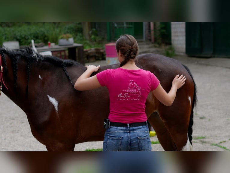 Ganzheitlicher Beritt mit Herz
