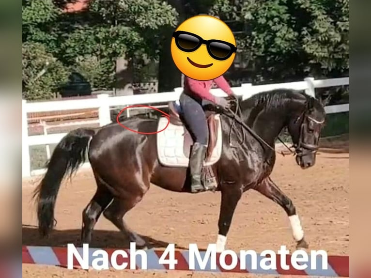 Montée / Correction offerte en juin et juillet