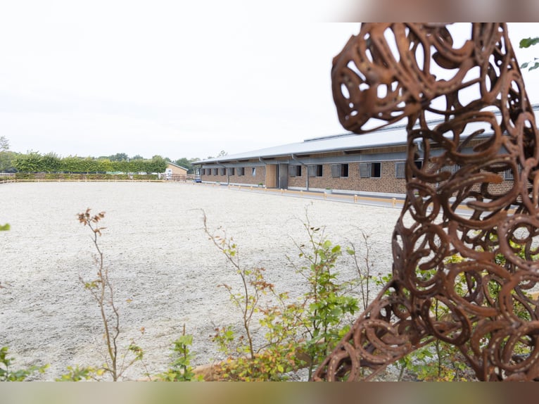 Places de reprise disponibles