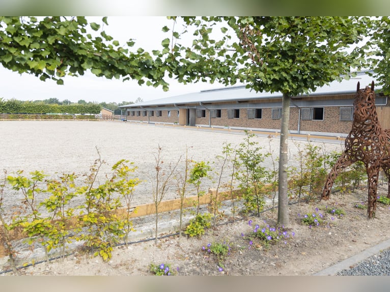 Places de reprise disponibles