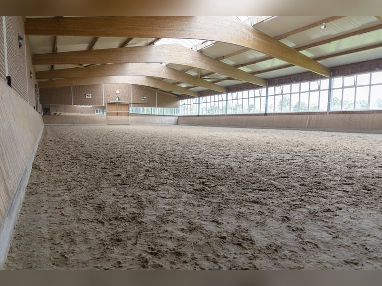 Places de reprise disponibles