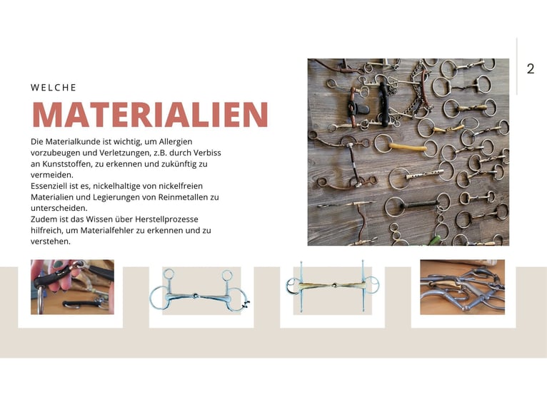 Atelier sur la connaissance des mors 29/08 à Wenzendorf, 21279