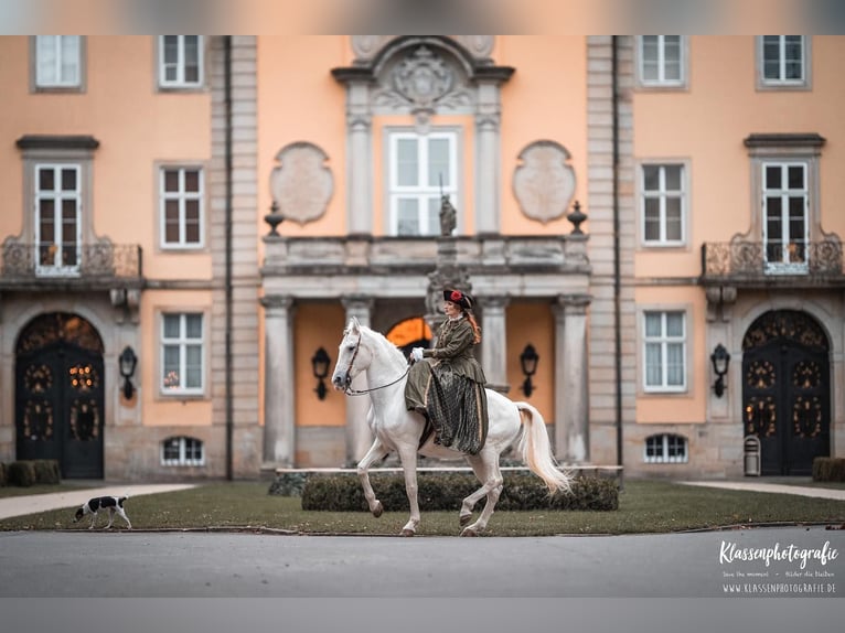 Cours privé de théorie et d'équitation avec le Dr. Diana Krischke les 24 et 25 octobre 2026 à la Fin