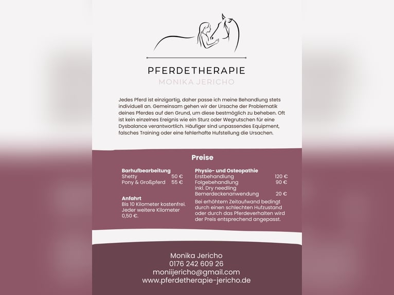 Hufbearbeitung / Pferdephysiotherapie / Pferdeosteopathie 