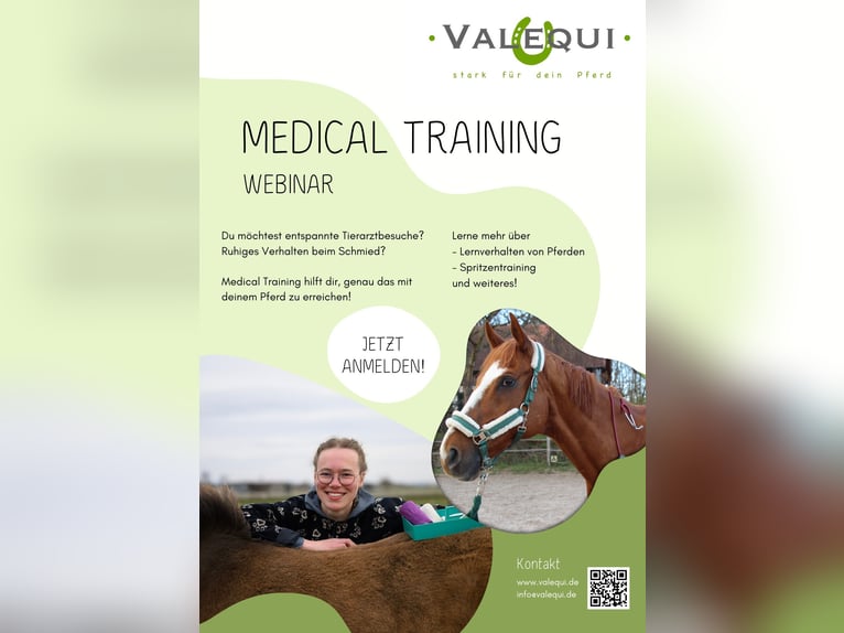 Medical Training Grundlagen (Webinar)