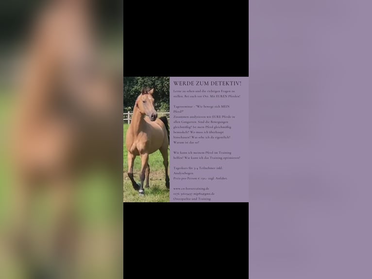 Offre de stage : Stage d'une journée d'analyse de mouvement