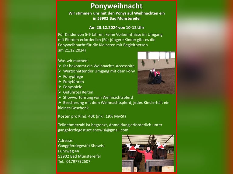 Ponyweihnachtsshow für Jung und Alt