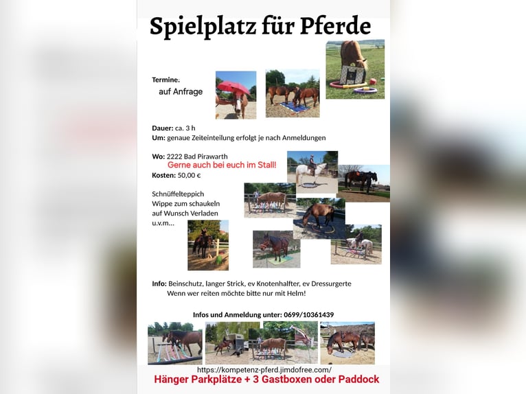 Spielplatz für Pferde