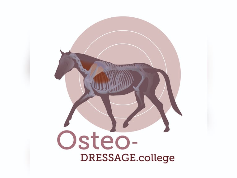 Weiterbildung für Reiter, Trainer, Therapeuten