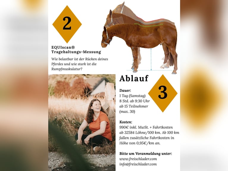 Workshops Sattelpassform(kontrolle)
